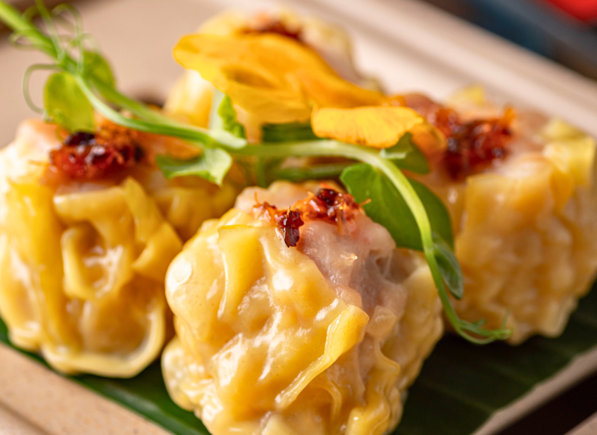 XO Siu Mai